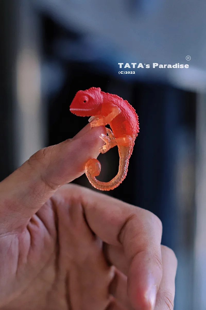 「Tata」Mini Chameleon (OB11 / 1/12 l 1/8 l 1/6 l 1/4 l 1/3) Prop ONLY - Image 10