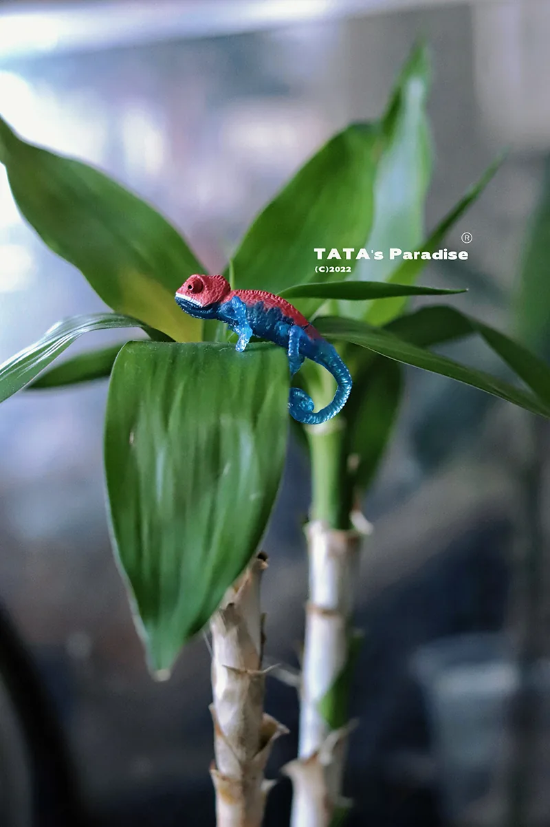 「Tata」Mini Chameleon (OB11 / 1/12 l 1/8 l 1/6 l 1/4 l 1/3) Prop ONLY - Image 2