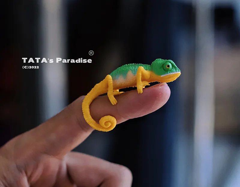「Tata」Mini Chameleon (OB11 / 1/12 l 1/8 l 1/6 l 1/4 l 1/3) Prop ONLY - Image 5