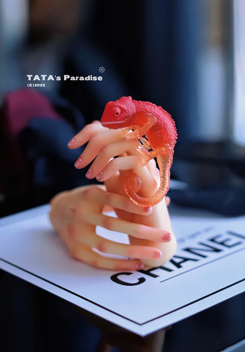 「Tata」Mini Chameleon (OB11 / 1/12 l 1/8 l 1/6 l 1/4 l 1/3) Prop ONLY - Image 6