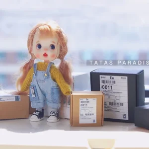 「Tata」Mini Parcel Box (OB11 / 1/12 l 1/8 l 1/6 l 1/4 l 1/3) Prop ONLY