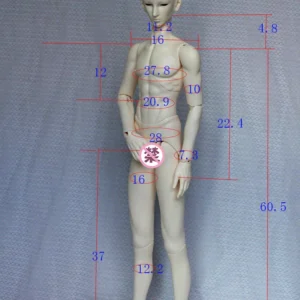 「Telesthesiadoll (TD)」72cm BJD Boy Doll Body Only