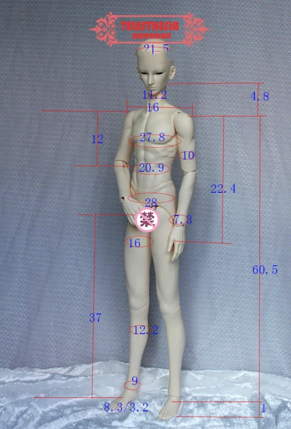 「Telesthesiadoll (TD)」72cm BJD Boy Doll Body Only