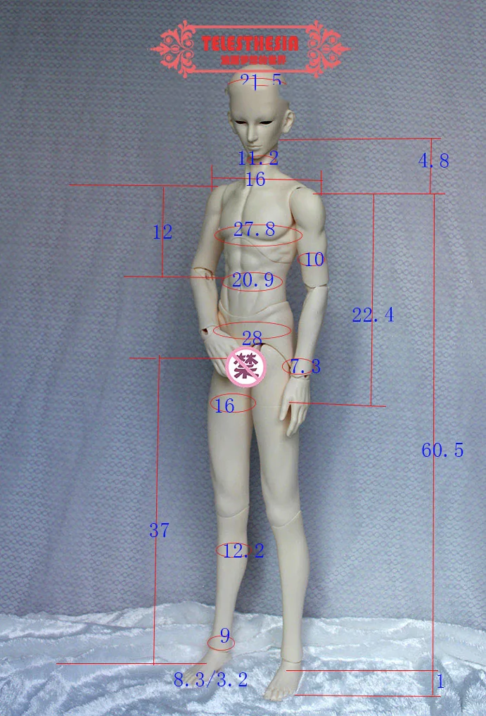 「Telesthesiadoll (TD)」72cm BJD Boy Doll Body Only