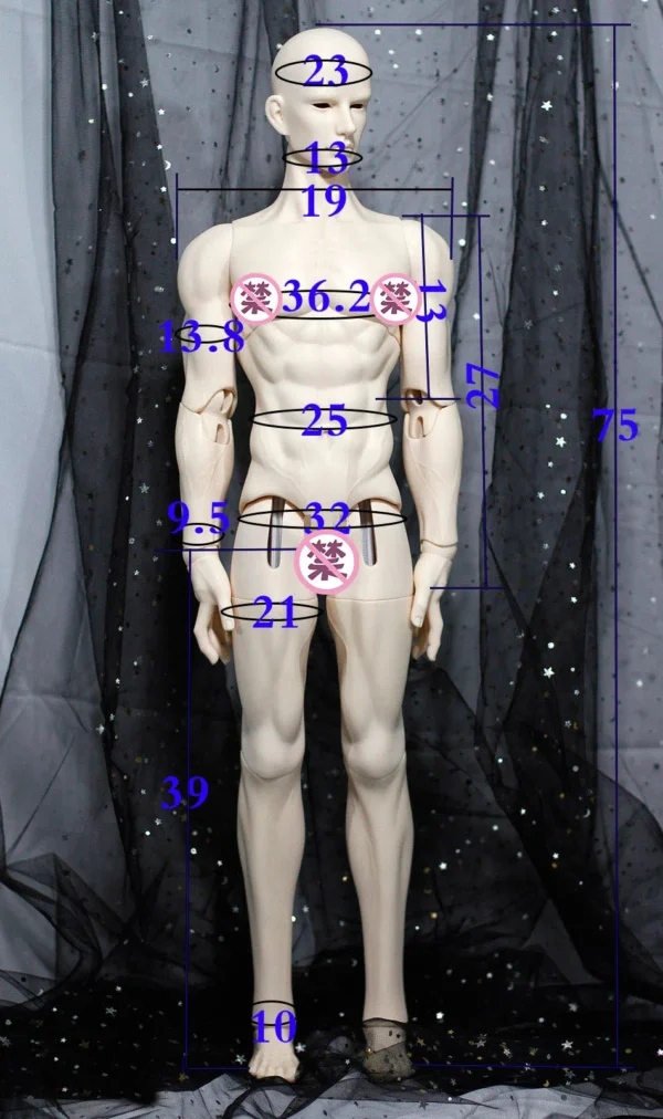 「Telesthesiadoll (TD)」75cm Muscular BJD Boy Doll Body Only - Image 2