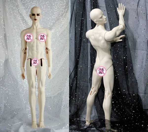 「Telesthesiadoll (TD)」75cm Muscular BJD Boy Doll Body Only - Image 3