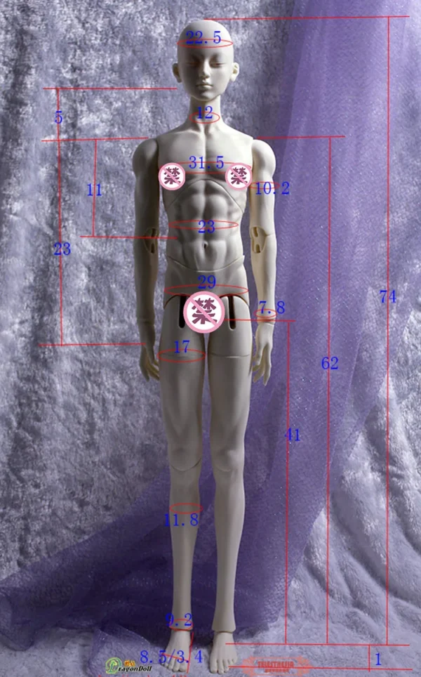 「Telesthesiadoll (TD)」75cm Normal BJD Boy Doll Body Only - Image 2