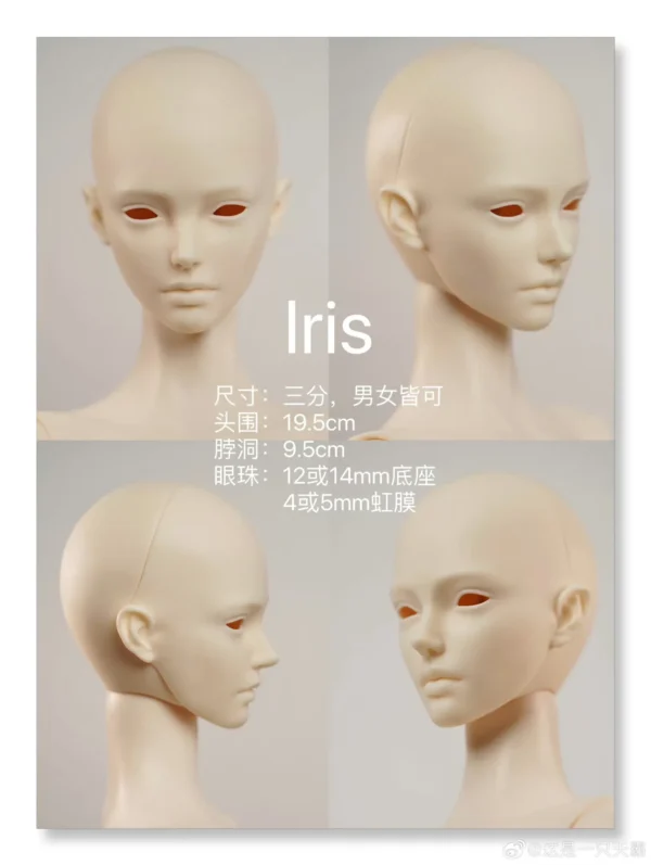 「TianBa」Iris BJD Doll Head Only (1/3) - Image 3