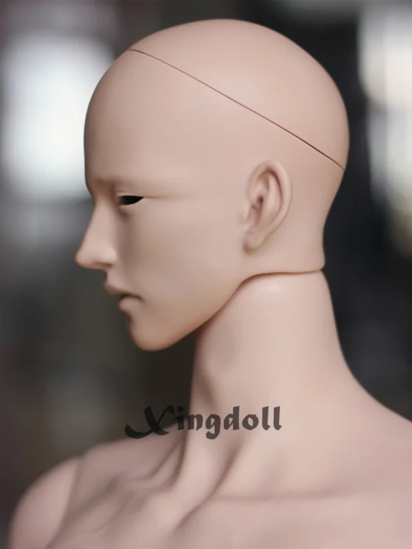 「Xingdoll」Hyesung HUMAN ver SD17 70-75cm Head Only - Image 11