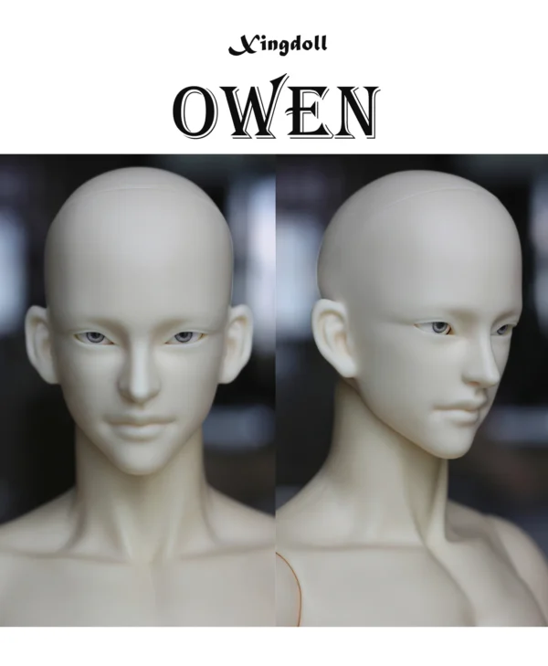 「Xingdoll」Owen SD17 70-75cm Head Only - Image 2